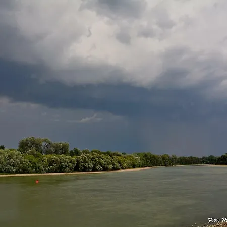 Camping And Bungalow Pap-sziget Szentendre/budapest