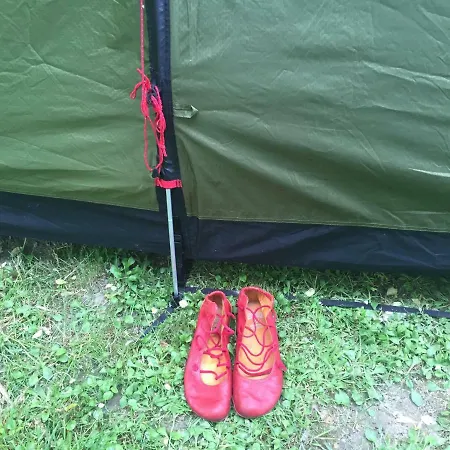 Camping And Bungalow Pap-sziget Szentendre/budapest Campsite *